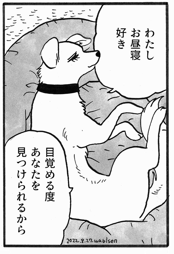 お昼寝 