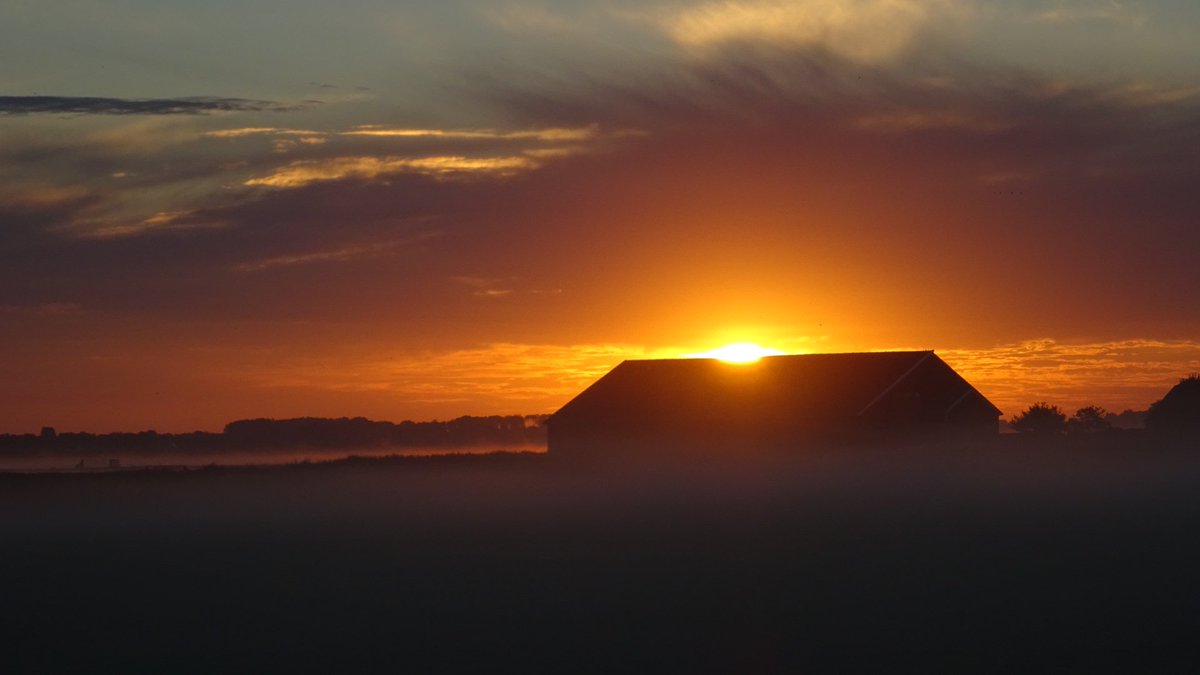 Pietsje Hannema Greidanus tweet media