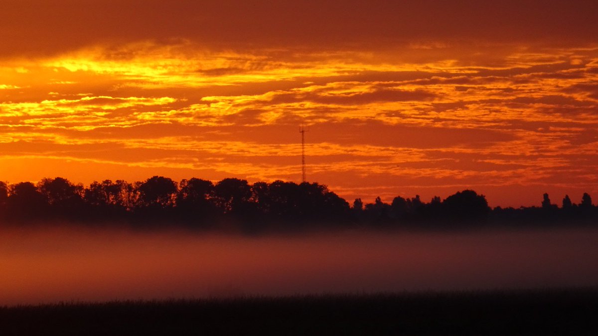 Pietsje Hannema Greidanus tweet media