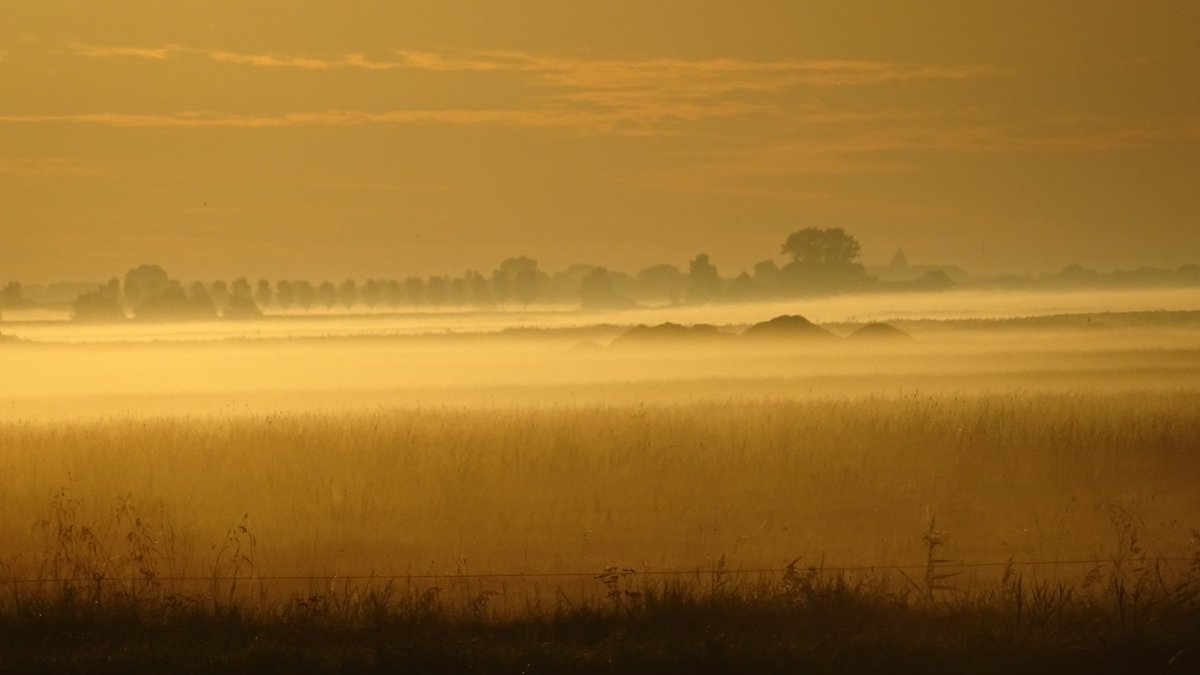 Pietsje Hannema Greidanus tweet media