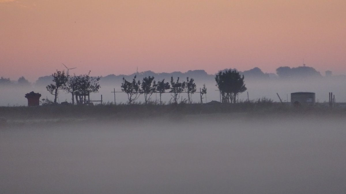 Pietsje Hannema Greidanus tweet media