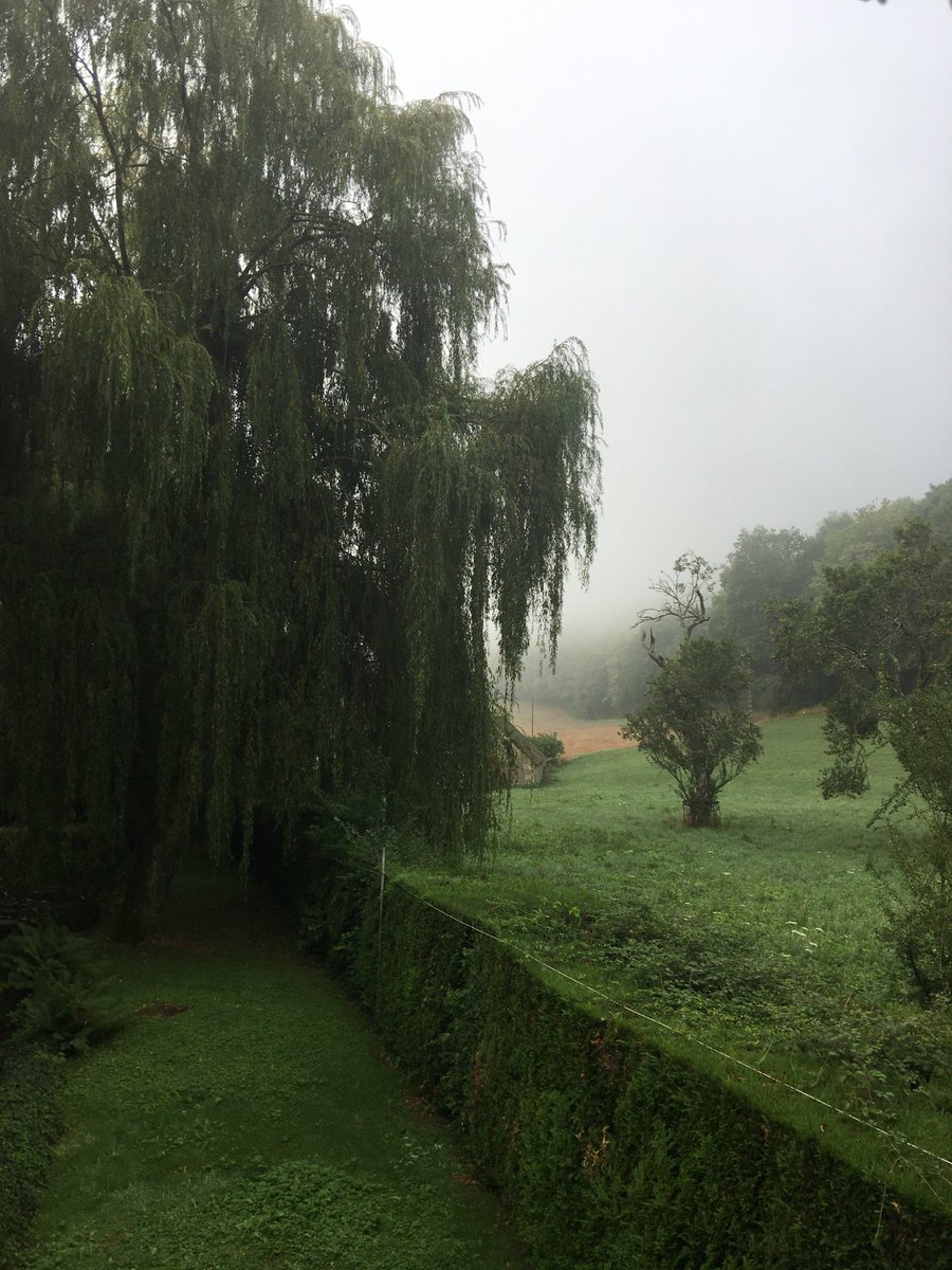 catherine_ccj's tweet photo. Hier, après-midi de pluie.
Ce matin premier brouillard « d’automne »
Dernière lumière d’août.
Tout le monde est parti.
Solitude. Tristesse…
#BourgogneFrancheComté #Yonne #été2022 #FinDeVacances https://t.co/2nDSOZAr6Y
