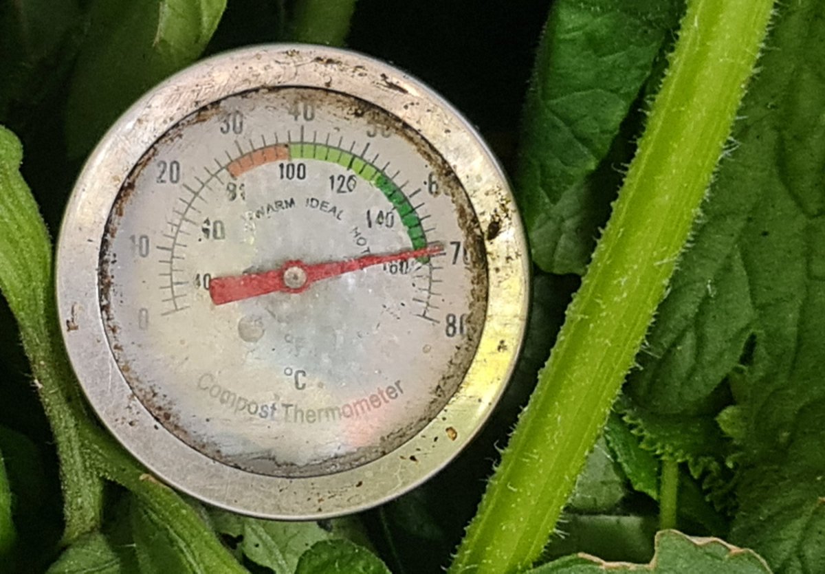 The latest compost heap is cooking away nicely #Organic #NoDig #PesticideFree #SayNoToPesticides #SayNoToChemicals #WildlifeFriendlyGardening #HealthySoil #GrowYourOwn