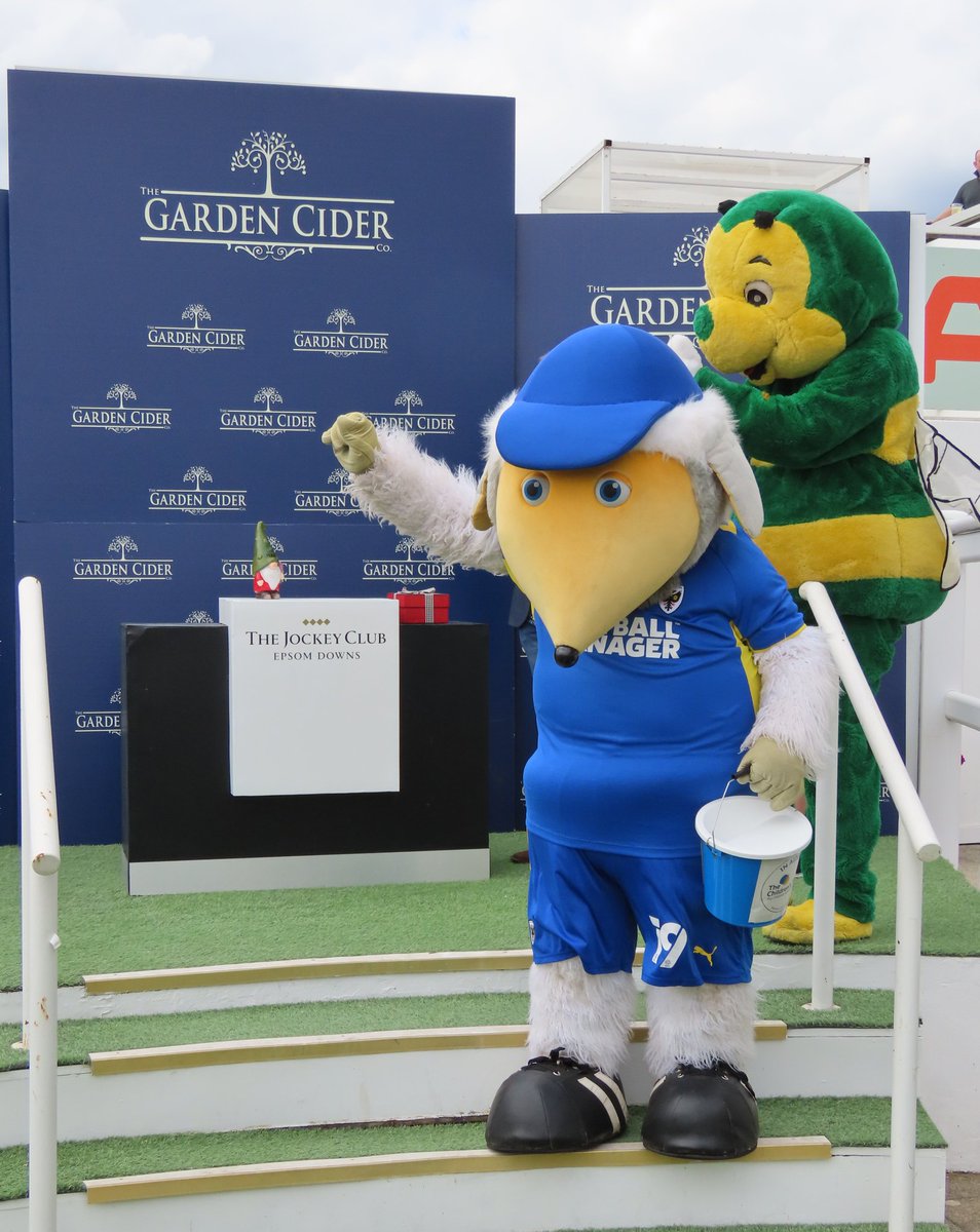 HaydontheWomble's tweet photo. Huge thanks to my good pal @HowietheHornet of @HorshamFC who finished 4th at @EpsomRacecourse #MascotRace a real veteran of mascot races. Helping us raise money &amp; awareness @Childrens_Trust 📷 @KirkPritchard1 Then helped Nuts &amp; Bolts over the finish line. https://t.co/heYkXBbEC1