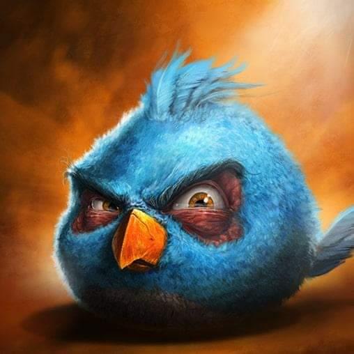 NUGGET tweet media