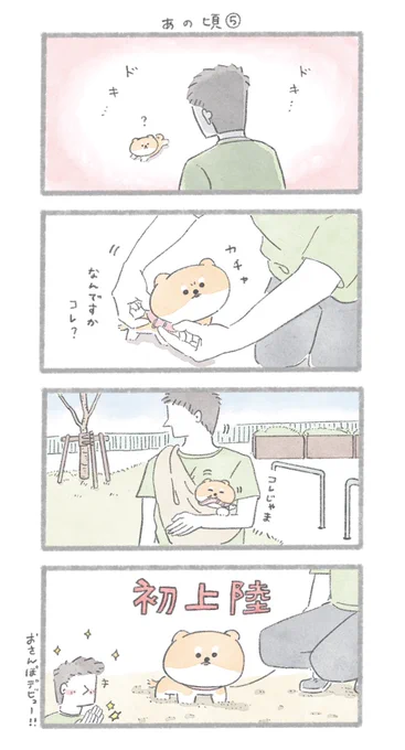 遂におさんぽデビュー!
#こんにちはいぬです 
