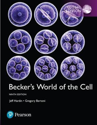 digibookee's tweet image. 💾 Download Beckers World Of The Cell 9th Edition (PDF):
👉 digibookee.com/eb652

Author(s): Jeff Hardin, Gregory Bertoni
Publisher: Pearson
ISBN-10: 1292177691
ISBN-13: 978-1292177694
Pages: 920
Edition: 9th edition | 2017
File Size: 133 MB
#Biology
#Basic_Sciences