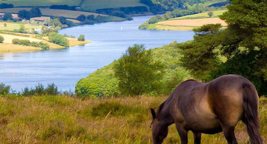 Visit Exmoor tweet media