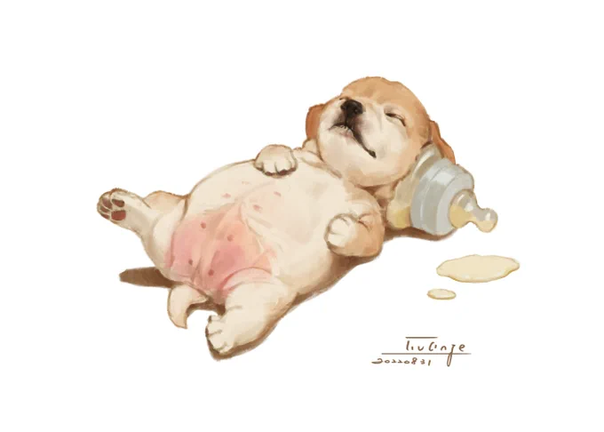 こいぬ 