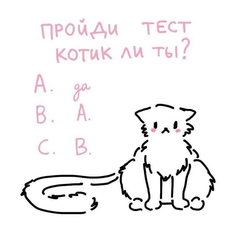 Алекс.🐰 (@lelwlo) on Twitter photo 