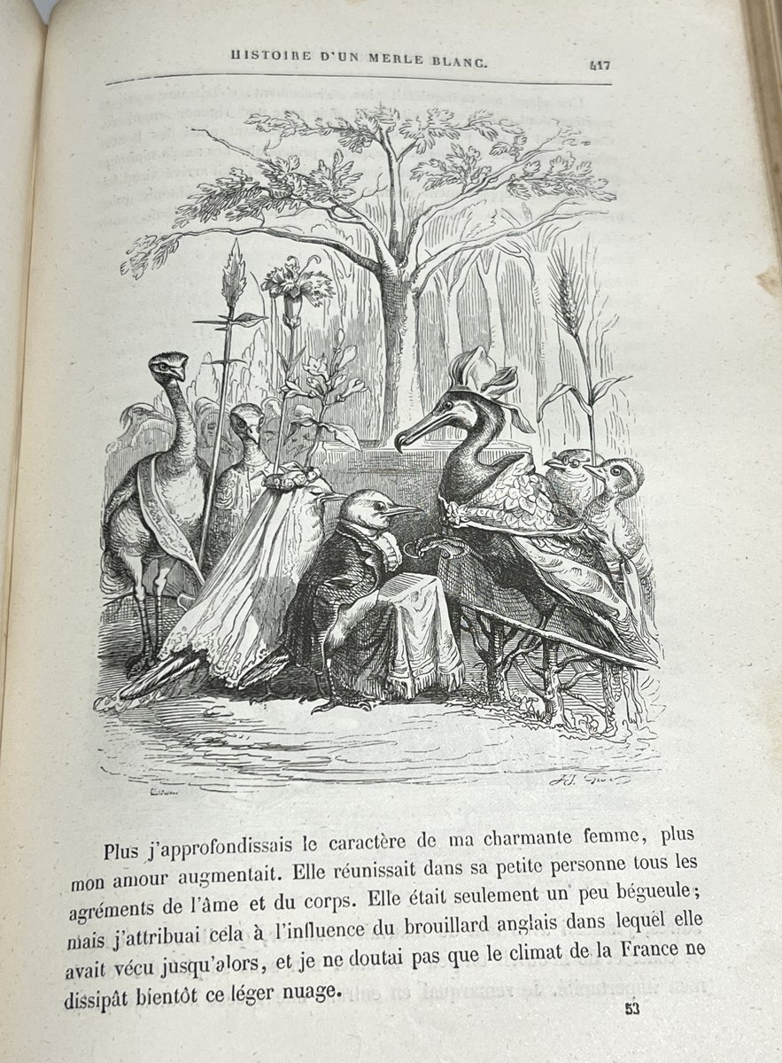 19世紀前半のフランスで活躍した風刺画家、J.J. Grandvilleの画風が最高なんですよ。本当に絵が上手い……素晴らしき鳥たち……。 