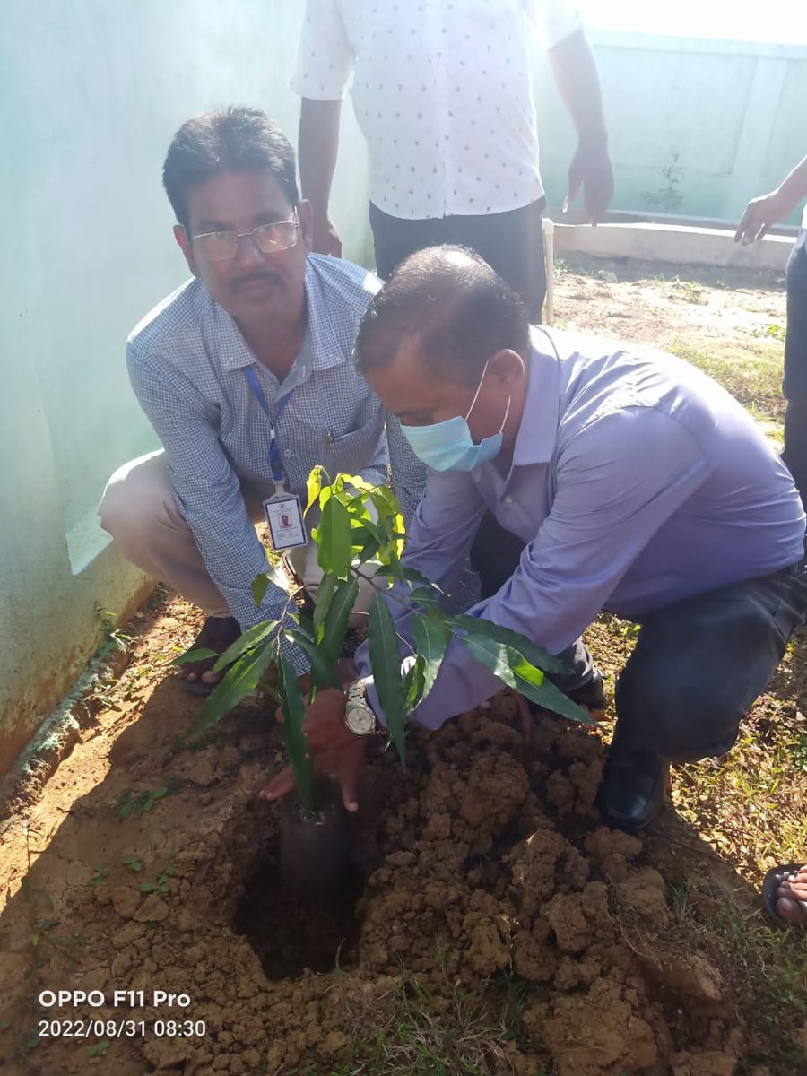 RemunaNac's tweet photo. Tree Plantation Programme on the occasion of Local Self Govt. Day 2022 in presence of Hon'ble MLA Remuna,Respected Chairperson Madam, Councillor, Executive Officer &amp; Staffs in respect of Remuna NAC https://t.co/zTiBOb3vkg