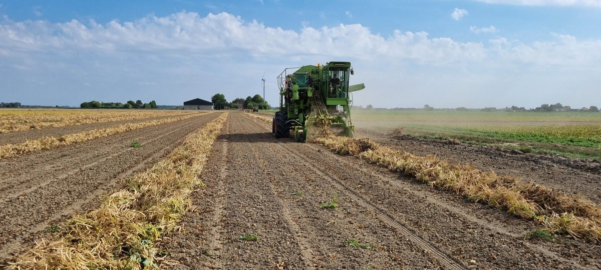 Reint Risseeuw tweet media