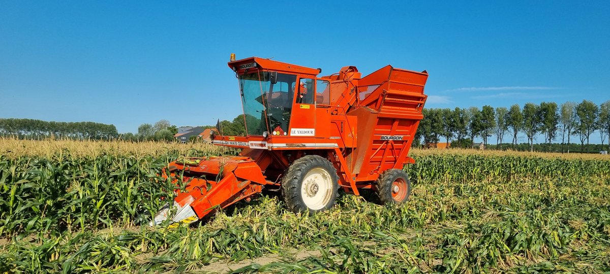 Reint Risseeuw tweet media