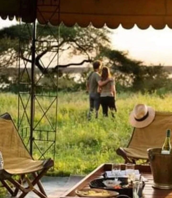 domisian_f's tweet photo. Travelling is not only about going places, it's more about getting new experiences and making true stories of your lifetime @makoyesafaris
#newmarkhotels #serengetisojourn #chuinizanzibar #warthog #grouptravel #luxurytravel #solotraveler #wonderlust #emotions #worldtour https://t.co/DMMR0P2ccP