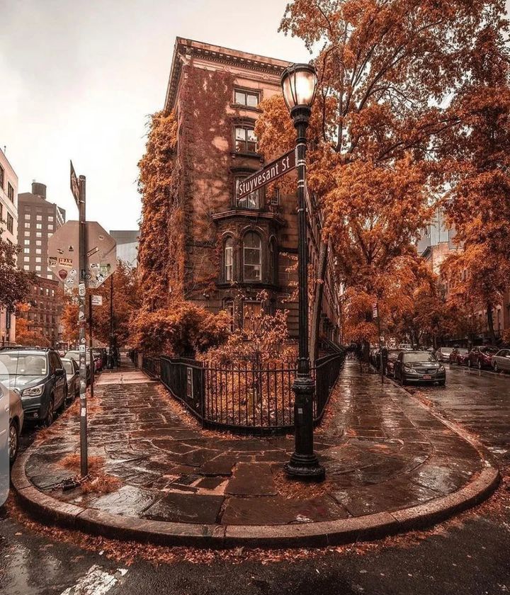 fiz_iiz's tweet photo. Manhattan, New York 🇺🇸 https://t.co/2nMBMfm8kn