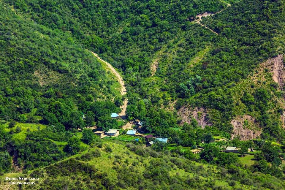 Piece of green “island” in Muminobod,
#Tajikistan #khatlonregion #tourism
