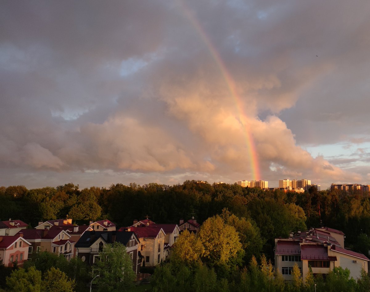 Kit (Ryu) 🐅 tweet media