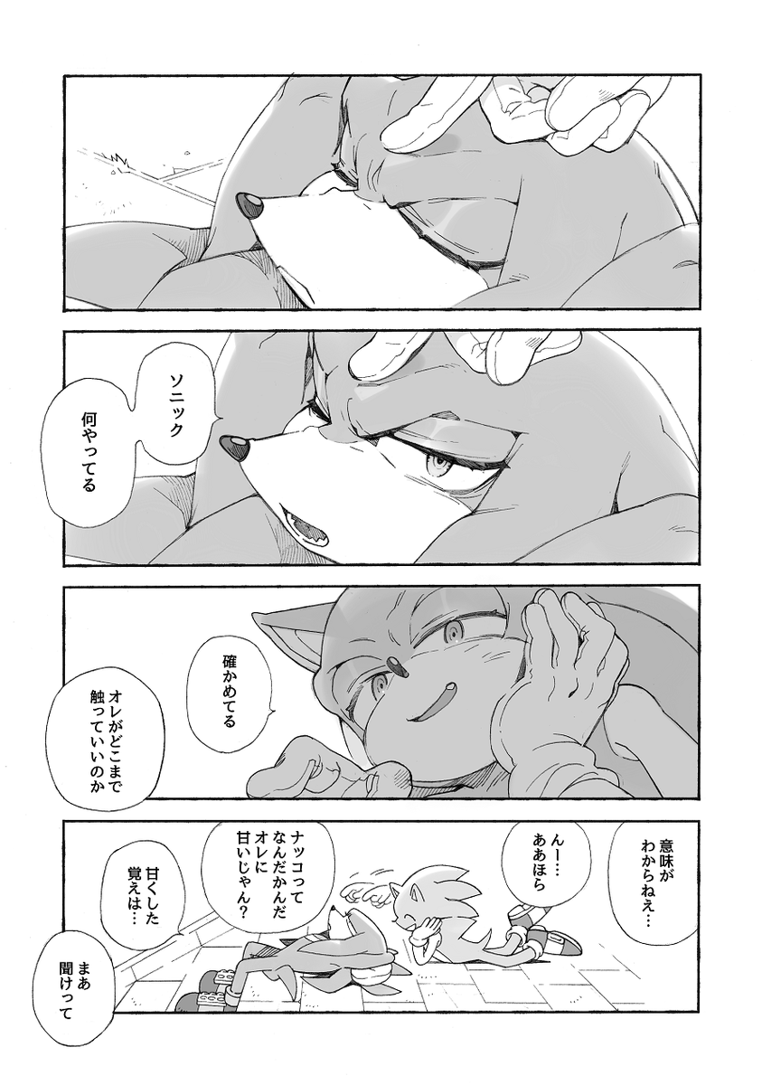 触れ合う/ソニナコ 