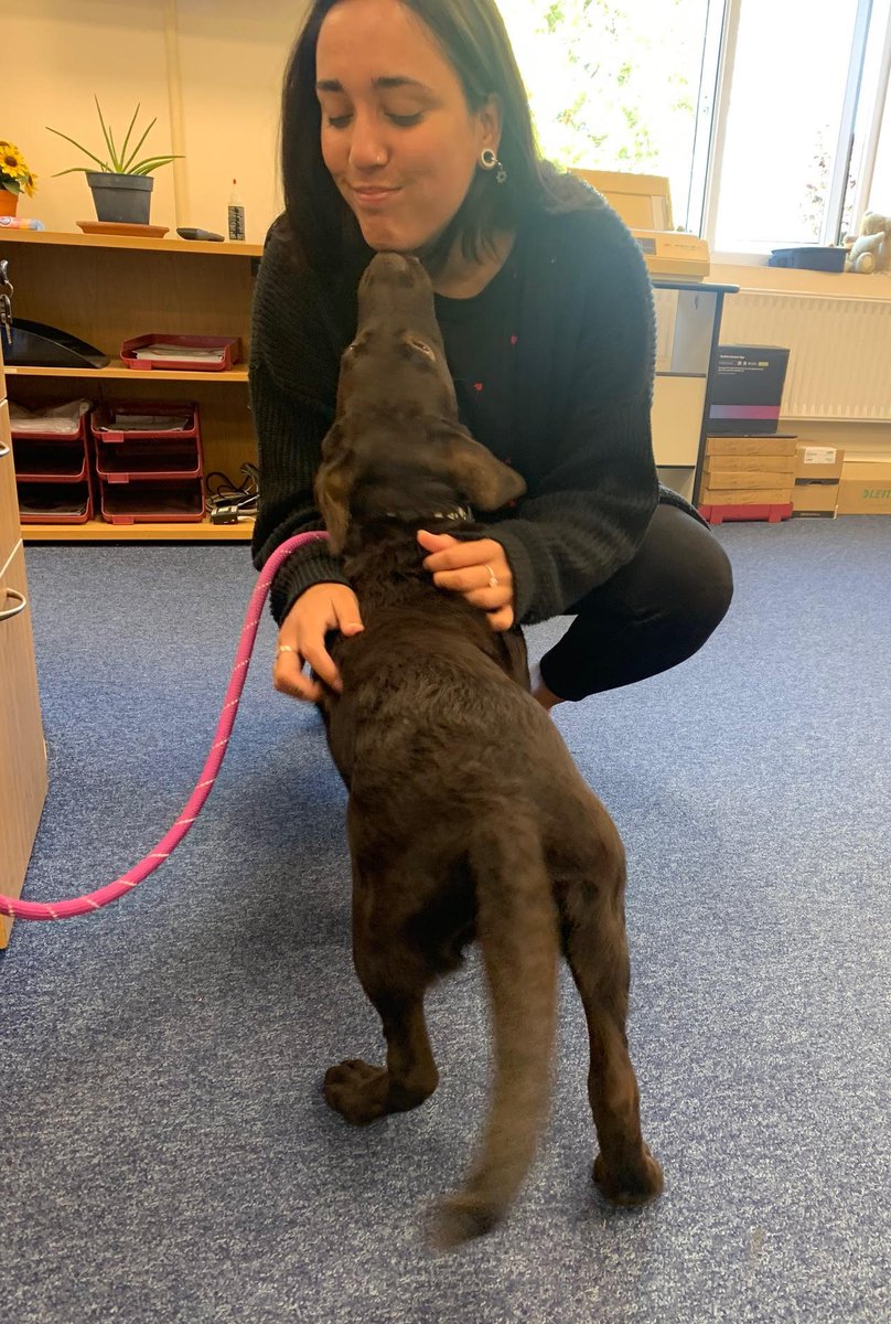 JGBMUK's tweet photo. We apologise for any disruption to services today - but we have a puppy in the office!
#sales #puppylife #majordistraction #officemachinery https://t.co/uEF5Xz0DYo