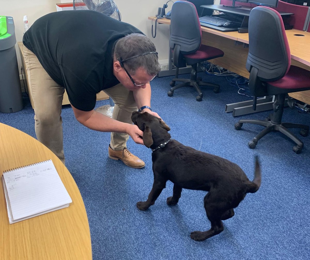 JGBMUK's tweet photo. We apologise for any disruption to services today - but we have a puppy in the office!
#sales #puppylife #majordistraction #officemachinery https://t.co/uEF5Xz0DYo