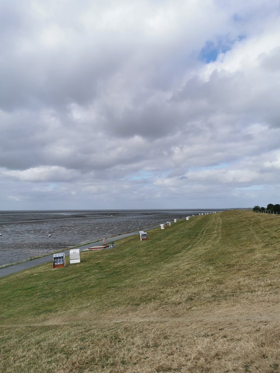 StephanCzarnow1's tweet photo. Finished the #sunsetwattenmeer2022 last weekend. 250km relay run from Hamburg to the coast St. Peter Ording. https://t.co/Wj0sEELtOw
