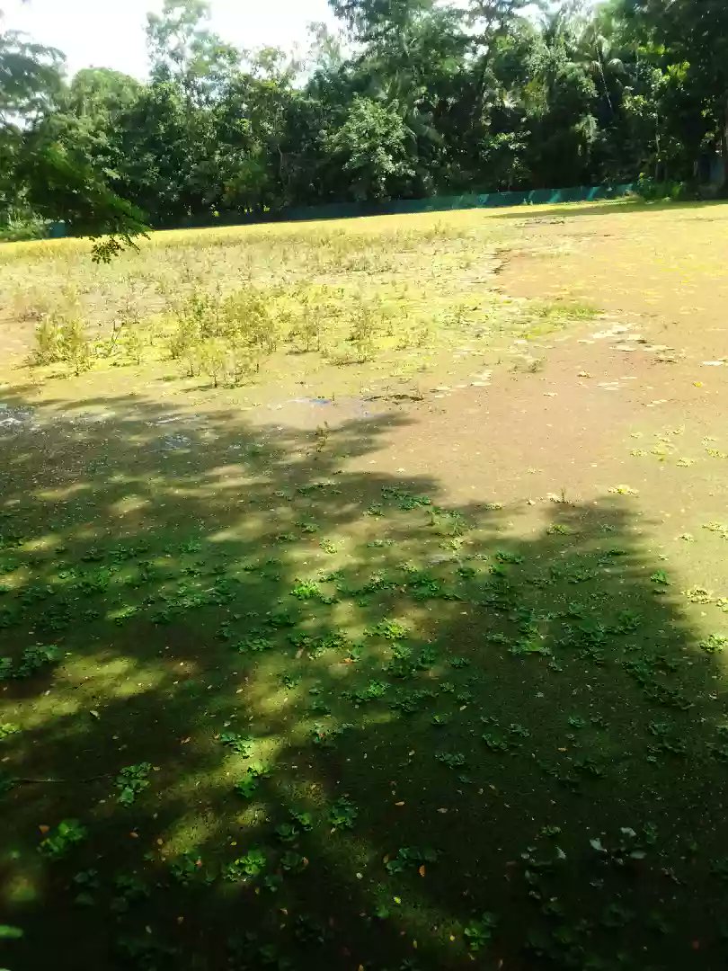 IlcDarul's tweet photo. দারুল উলুম মাদ্রাসার এতিমখানার বিভাগের জন্য 7 শতাংশ জমির প্রয়োজন এতে 7 লক্ষ টাকা খরচ হবে আপনারা প্রত্যেকেই যদি এগারোশো টাকা করে দান করেন তাহলে 700 লোক হলে জায়গাটা খরিদ করতে পারতেছি আপনাদের দোয়া ও সহযোগিতা কামনা করছি। 01748 47 94 71. বি��াশ পার্সোনাল। https://t.co/Tul4DioPXo