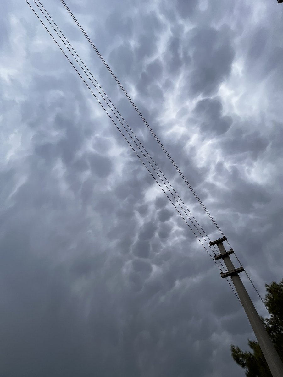 lappelduvide33's tweet photo. @OrcunBostanci Mammatus mudur hocam ? https://t.co/qrOO17FaCp