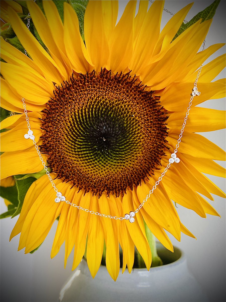 jennihind's tweet photo. Love being part of my digital team! So thoughtful, Sunflowers to brighten my birthday and beautiful necklace to celebrate recovery from recent surgery, Thank you 💜🌻 @EmmaArrowsmith5 @BurdessDesiree @CDDFTDigital https://t.co/LmNEqIMpTt