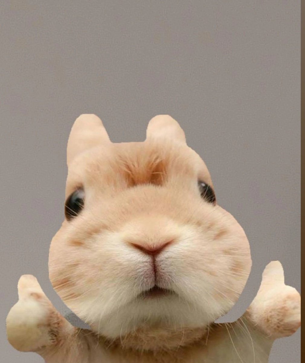 grim 😭😭😭 (@afforism) on Twitter photo 