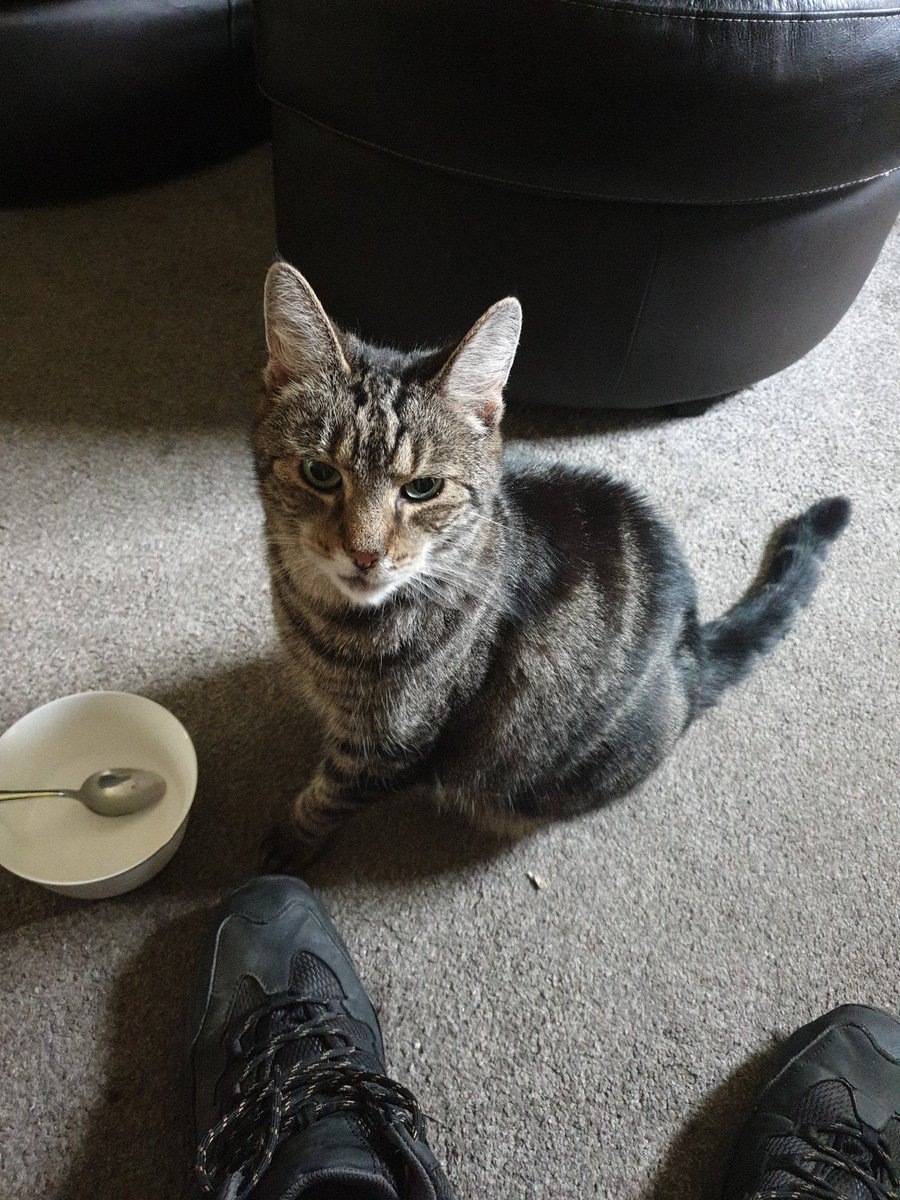 CrazySatnav's tweet photo. @tacticusgame Normally got him sat in front of me https://t.co/CKhwdKLT19