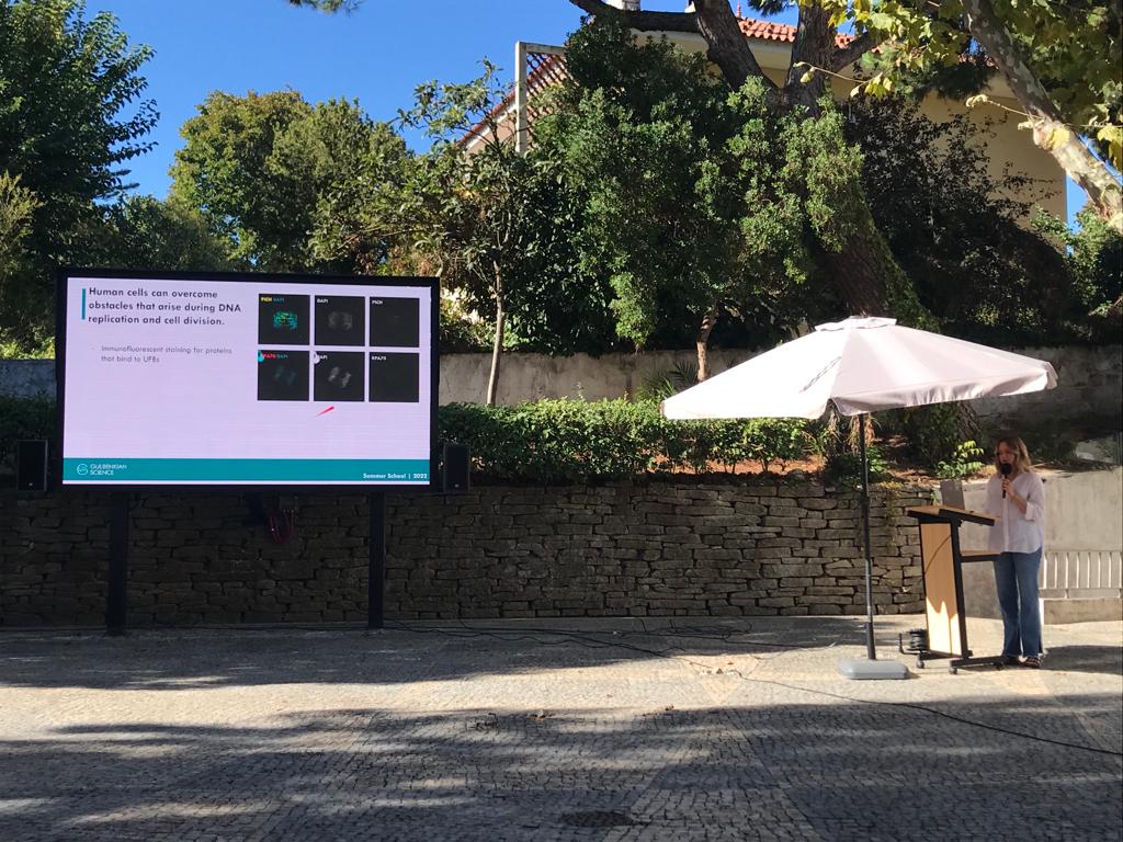 Laura Tovini tweet media