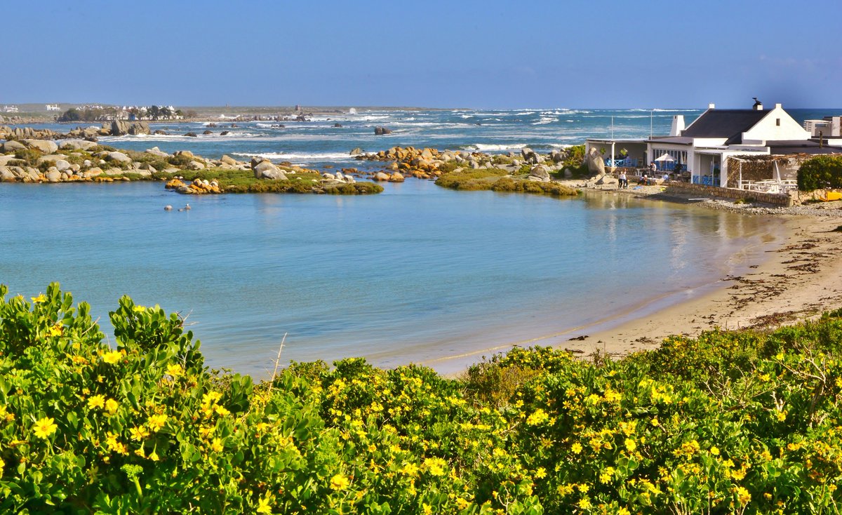 wheretostaycoza's tweet photo. Jacobs Bay ~ Cape West Coast.
Called the "Namaqualand by the sea", as the countryside turns into a wildflower tapestry in spring.
Find #wheretostay in #JacobsBay https://t.co/QHC9BuCbPO
πΈ Pieter Viviers
Post via Ek reis deur my pragtige land.... Suid-Afrika
#capewestcoast https://t.co/vRwqCQZl6Z