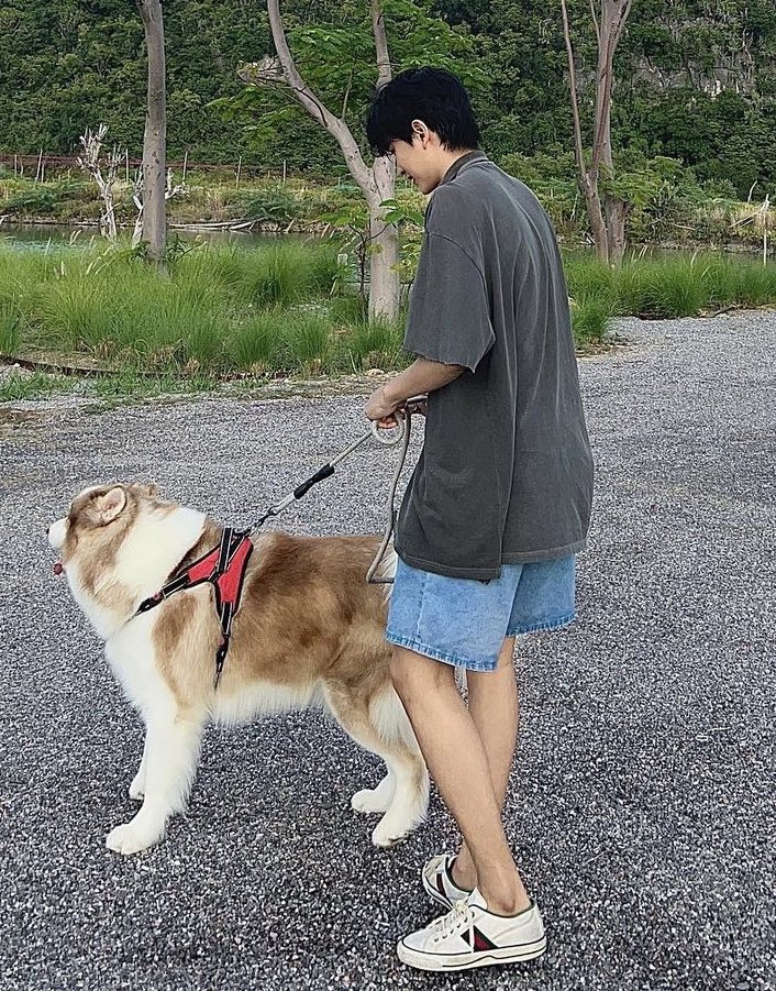 AsmodeusLust666's tweet image. เจ้าหนูทั้งสามเเละหมาของ..ของใครก็ไม่รู้
กรุณาห้ามขโมยหมาเค้ากลับบ้านนะค้าบพี่ๆ 😅