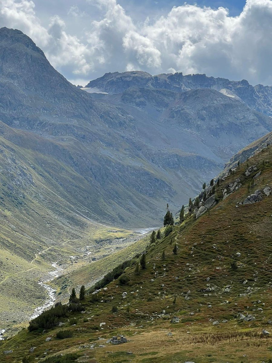 2michaelWmusic's tweet photo. #Willkommen in #Suedtirol: von München nach #Meran entspannt und bei wenig Verkehr via #Lindau #Davos #Flüela #Reschenpass. Apfelernte in vollem Gang. Hotel #Avidea mit herrlichem Blick ins #Etschtal. #Algund https://t.co/7jVt1QAk3K