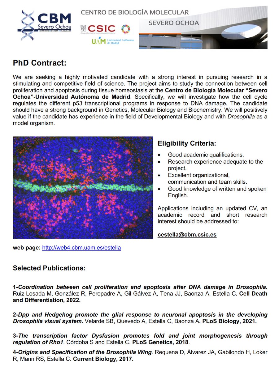 estella_carlos's tweet photo. We are hiring!!. PhD contract in our lab at the @CBMSO_CSIC_UAM. Difussion will be appreciated. Details here 👇 https://t.co/wwpQUYrJk1