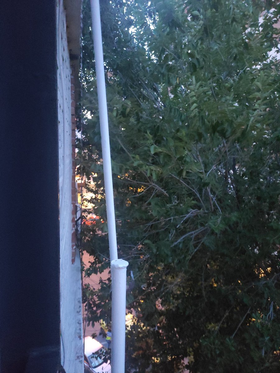 monicamz5's tweet photo. @Lineamadrid Hemos llamado varias veces desde hace medio año para que vengan a podar los árboles en la Calle Isla de Arosa (28034) No se puede pasar por la acera, los árboles chocan con nuestras ventanas y además hay muchos bichos. Necesitamos una solución urgente!!!! https://t.co/y37LspnOf1