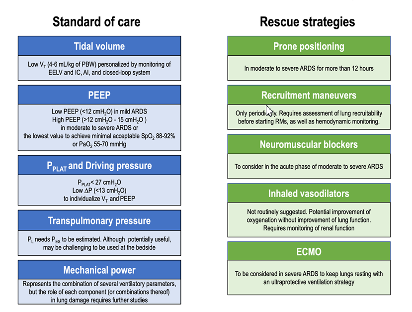 MRE_signavitae's tweet photo. #signavitae This review aims to discuss the cornerstones of MV and new insights in ARDS ventilatory management, as well as their rationales, to guide the physician in an individually tailored rather than a fixed, sub-physiological approach.https://t.co/FY386dJpK1 https://t.co/AKQcFsVCV2