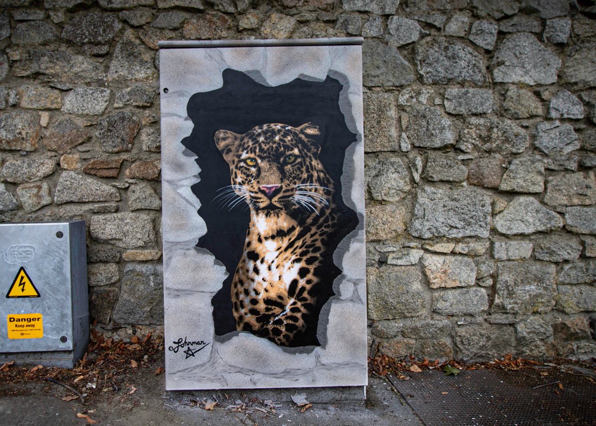 DublinCanvas's tweet photo. Striking new artwork ‘Beast in the Bricks’ by urban artist @JohnmanSpraycan Piece located at Leopardstown Road, Stillorgan Road, Dublin @dlrArts @dlrcc #lessgreymoreplay https://t.co/uxMnEW9Utv