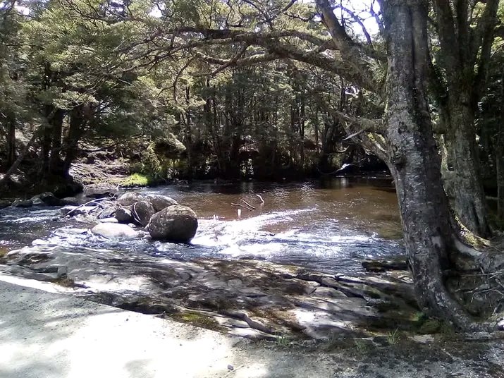 OrmsbyKev's tweet image. #workdistractions