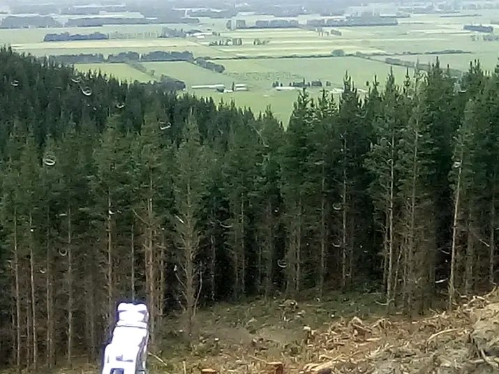 OrmsbyKev's tweet image. #workdistractions