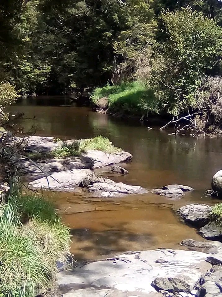 OrmsbyKev's tweet image. #workdistractions