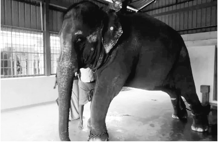 “Om Gajananaya Namah”
#FreeJoymala
Let's get our girl home....
<a href="/narendramodi/">Narendra Modi</a> <a href="/byadavbjp/">Bhupender Yadav</a> <a href="/himantabiswa/">Himanta Biswa Sarma</a> <a href="/cmpatowary/">Chandra Mohan Patowary</a> <a href="/mkstalin/">M.K.Stalin - தமிழ்நாட்டை தலைகுனிய விடமாட்டேன்</a>