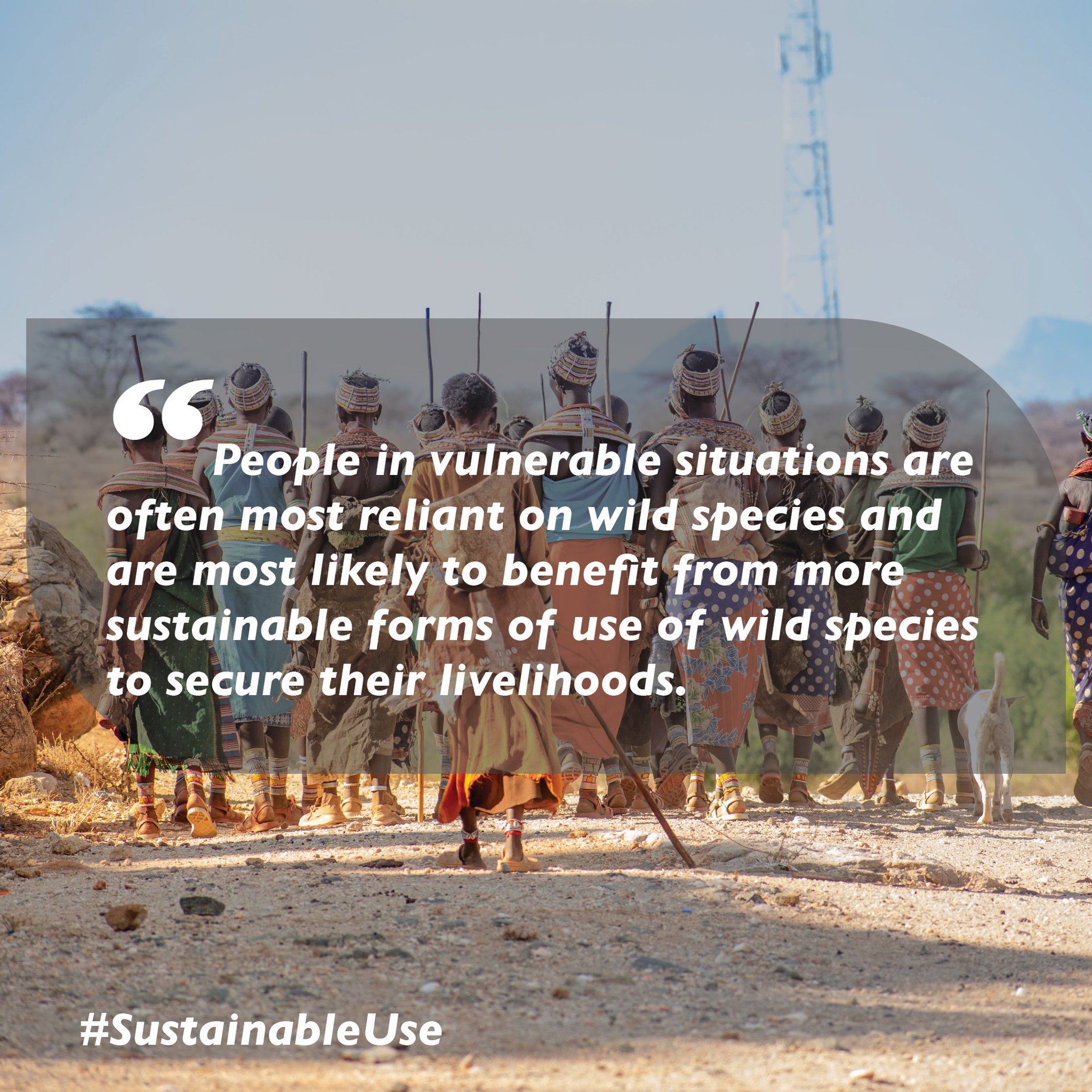 Resource Africa on Twitter: 