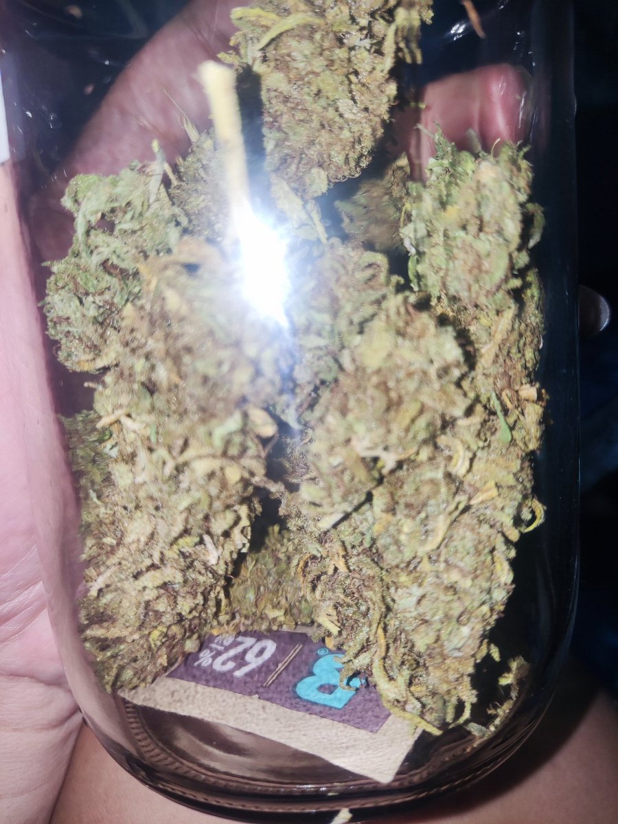 pre_k2cannabis's tweet photo. magic melon
G220
ส่งฟรีห้วยขวางละแวกใกล้เคียง
เช็คเครดิตหน้าเฟส
https://t.co/LZLQwAzAif
สั่งของ 
https://t.co/g9JlUJuQ65
#420bangkok #420bkk #420communit #กัญชาห้วยขวาง #กัญชาดินแดง  #กัญชาสุขุมวิท #กัญชาทองหล่อ #พันลำ #ห้วยขวาง
#thaiweed #thaicannabis #weedthailand https://t.co/TBlPxI0W0e