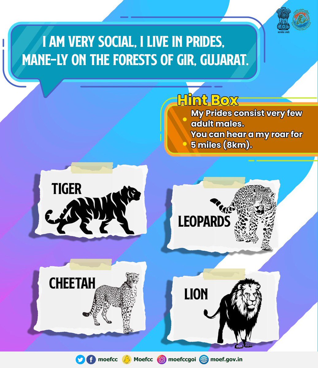 moefcc's tweet photo. Can you Identify the Wild Cat mentioned here! Don't forget to use Hint Box. #WildCatsofIndia https://t.co/DA2VBMxoya