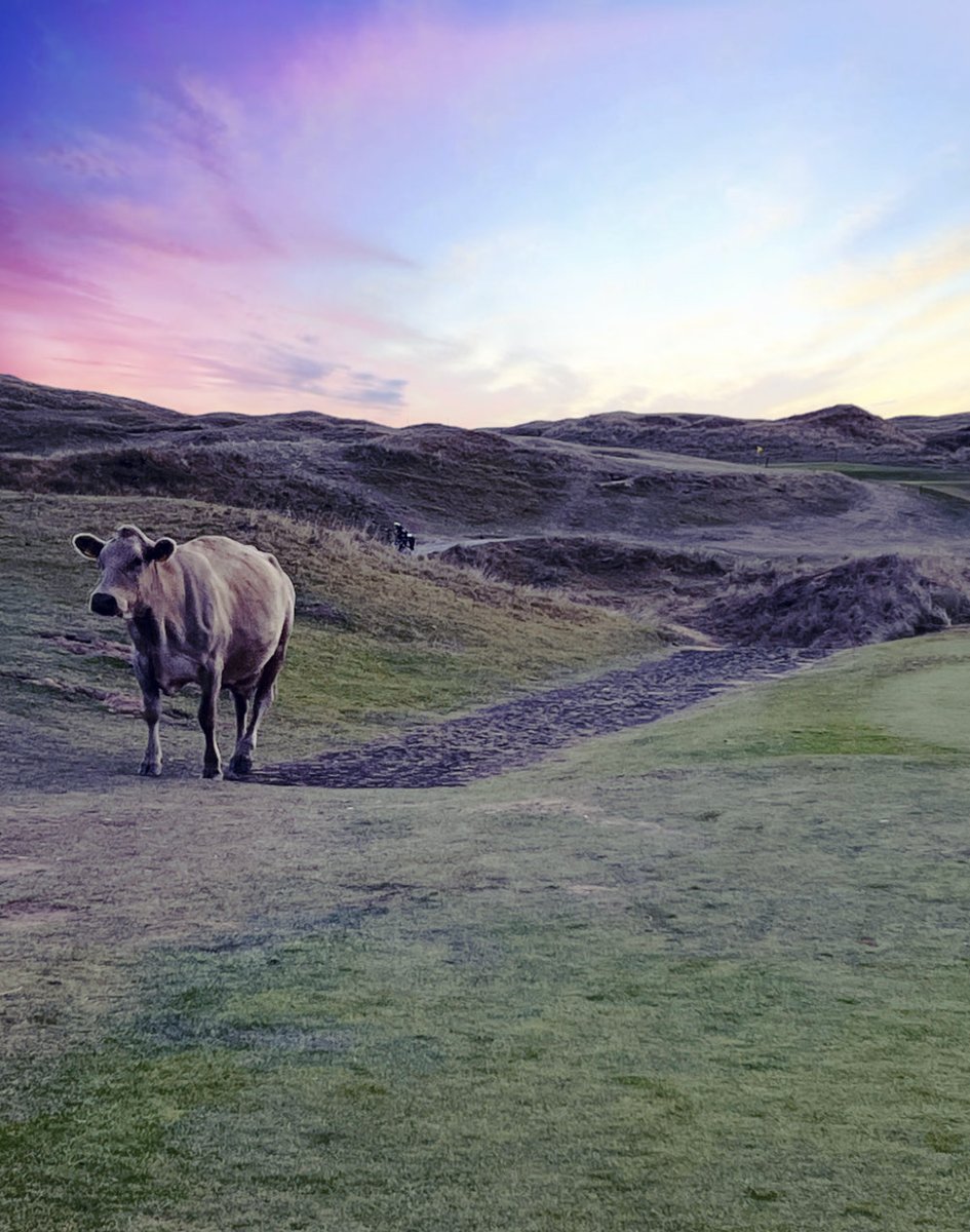 nevtheknee's tweet photo. Amazing round & great company ⛳️🙌😊💥@PennardGolfClub yesterday #linksinthesky #linksgolf #top100 #welshgolf @nevtheknee https://t.co/fMPjbmxlkt