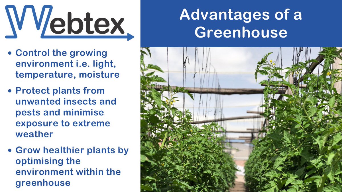 WebtexZw's tweet photo. Your plants will thank you🫐🍅🫑
#shadenetting #greenhouse #advantages #horticulture #tomatoes #cucumber #peppers #blueberries #zimfarming #supportingagriculture #webtexzw https://t.co/nxrfMn911p