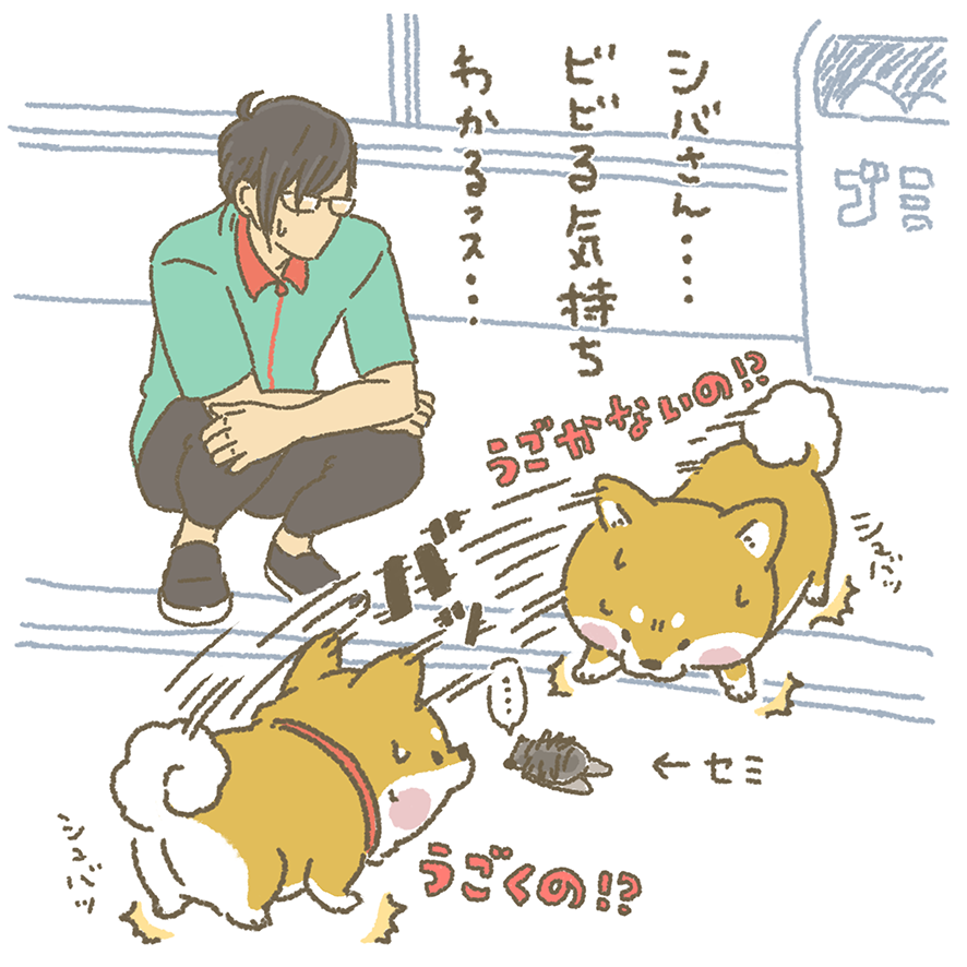 あああ お客様困ります スペシャルサイト タカラトミーアーツ