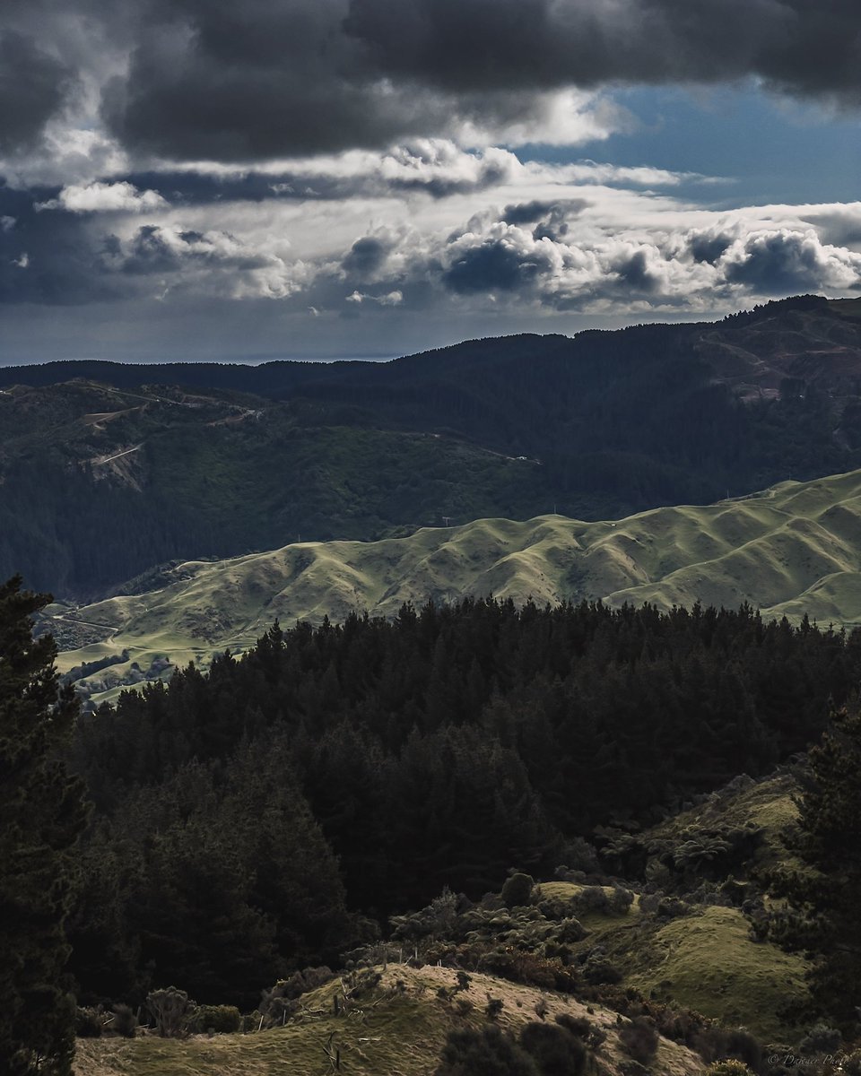 dawner_photo's tweet photo. Some parts of Battle Hill farm are closed during August for lambing season, but not the summit area though. :-)

#explore #nature #adventure #moodygrams #mood #clouds #landscape #newzealand #battlehill #capture #shotonmoment #phonephotography https://t.co/YqOdNwxB4N